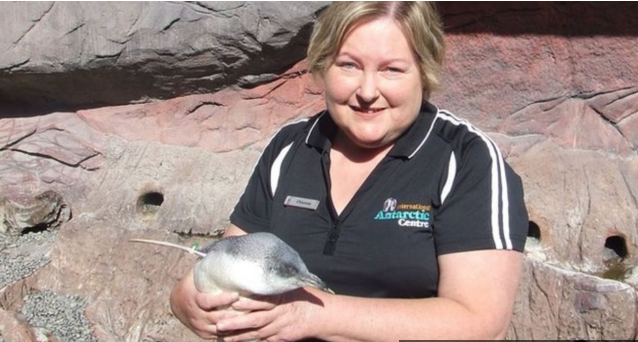 My Day: Penguin keeper Dianne Lim